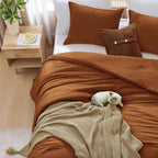 Amberspace Prewashed fabric 2/3-piece Bed in a Bag Comforter Set with Sheets